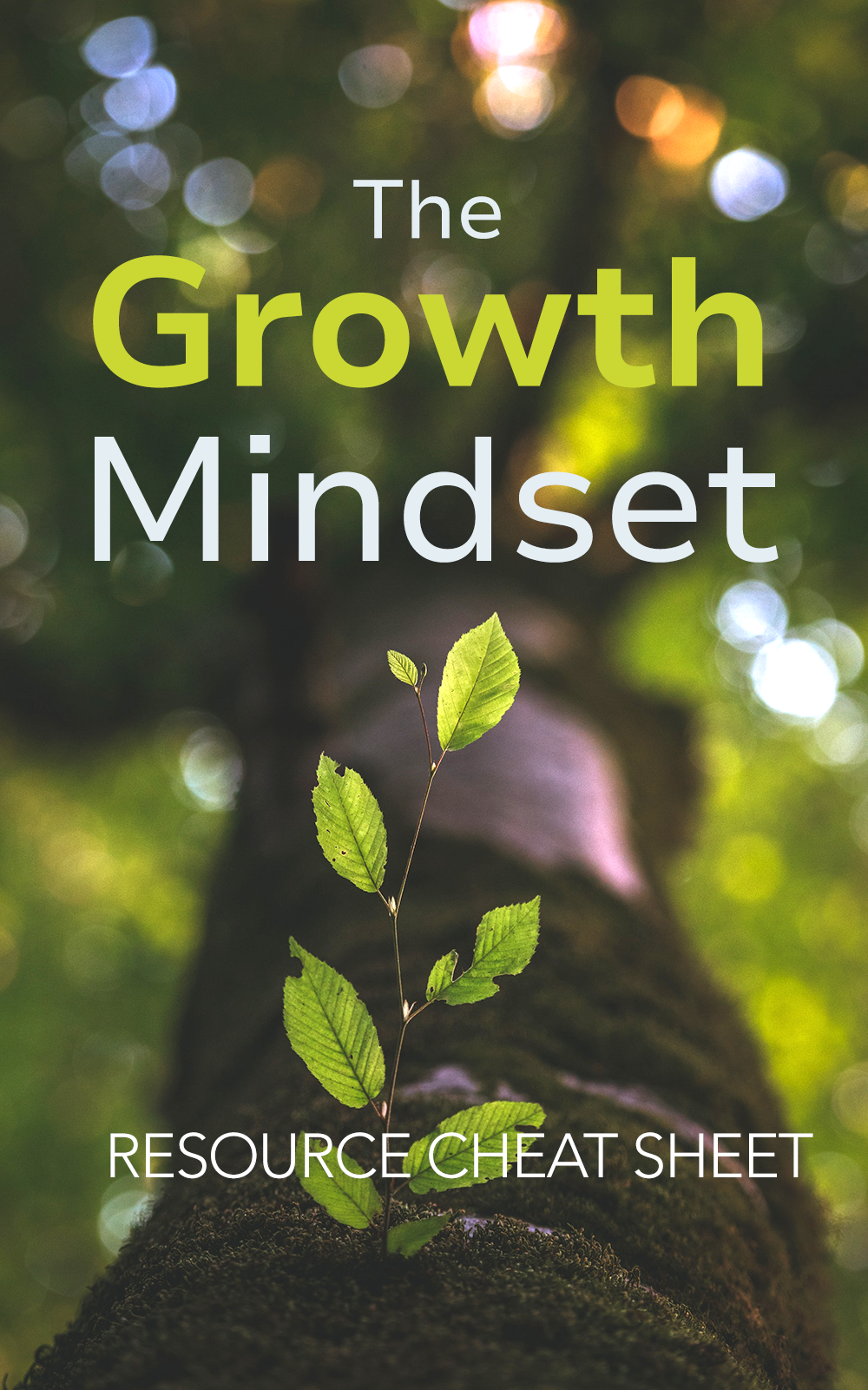 The Growth Mindset