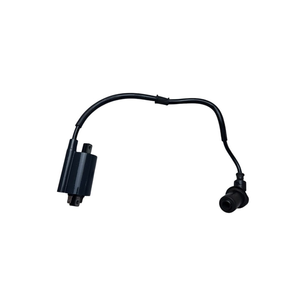 Bobina Ignição Dafra Smart 125 2010-2015 Original Seminovo