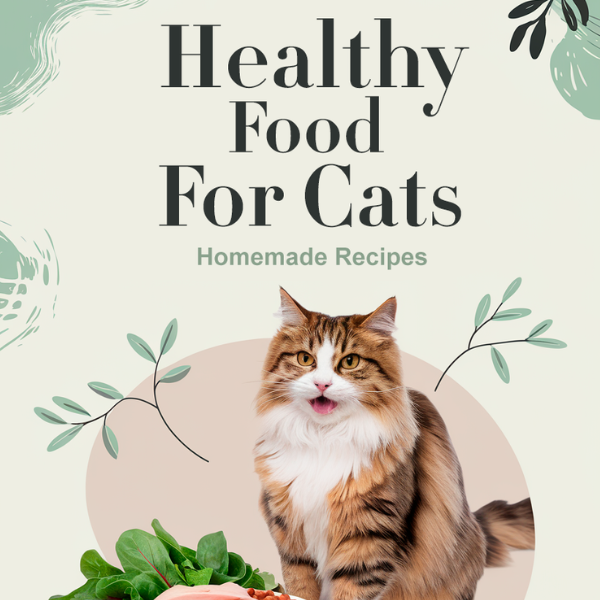 Healthy Food for Cats: Tips and Homemade Recipes