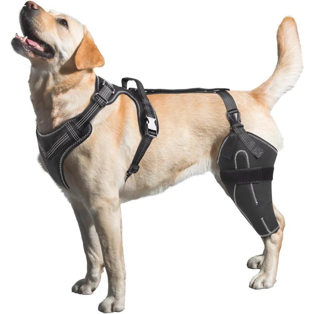 Dog Knee Brace for Torn ACL/CCL Hind Leg,Adjustable Support with Sufficient Wrapping and Support & Luxating Patella,Non-