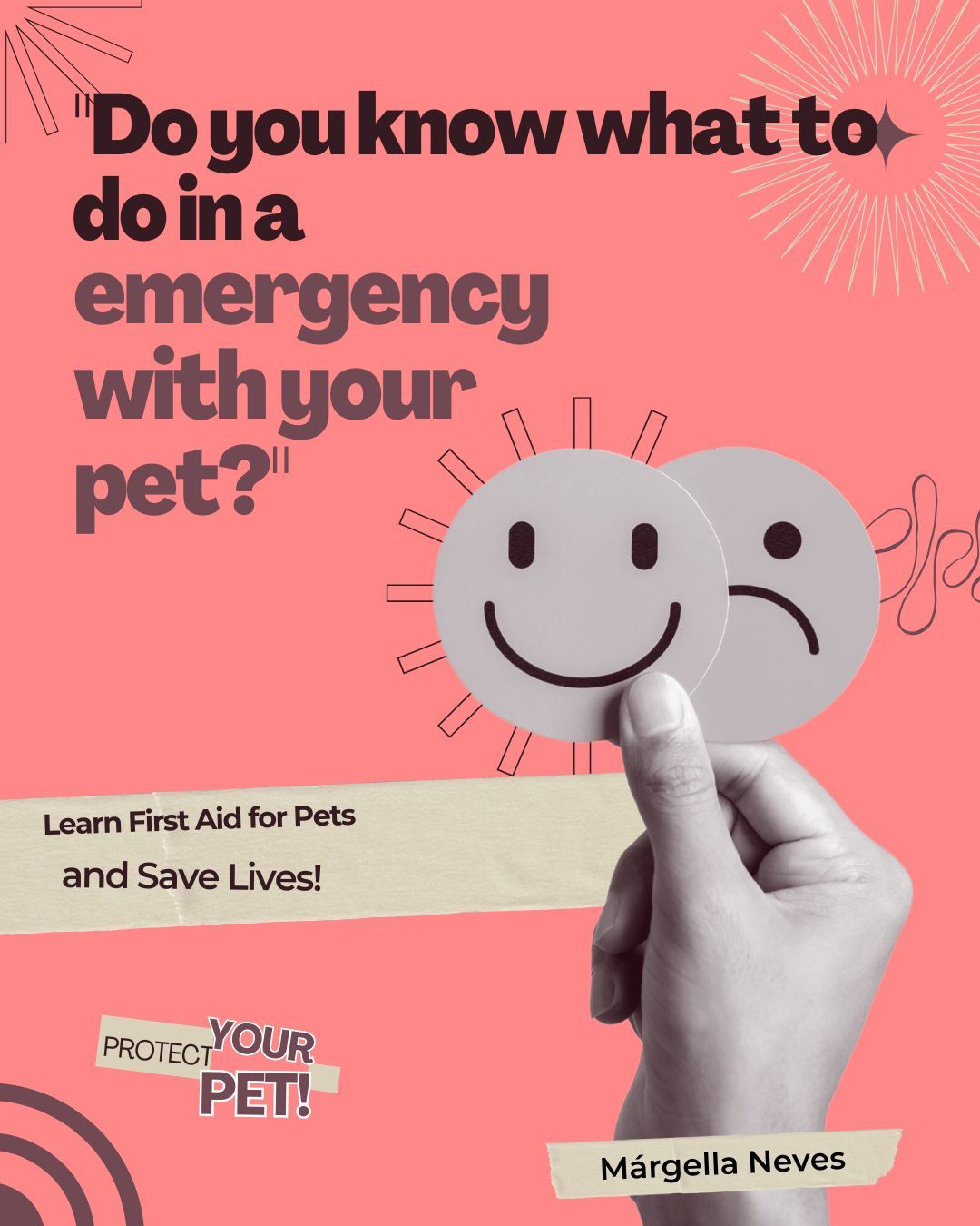 First Aid for Pets – Step-by-Step Guide on What to Do in Emergencies