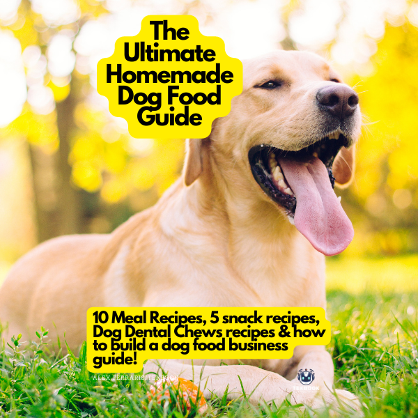 The ultimate Homemade Dog Food Guide plus recipes and how to create your own dog food business.