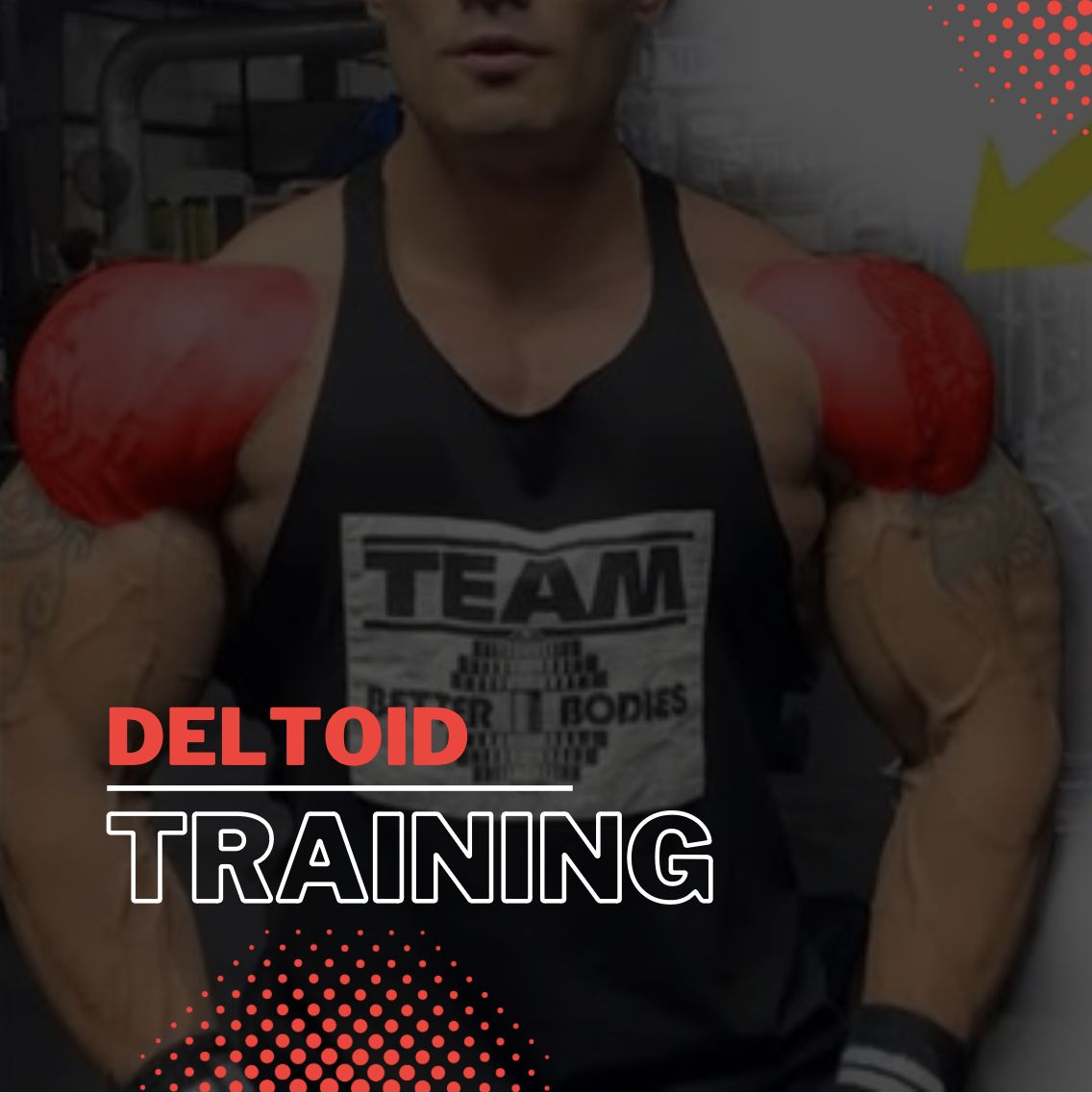 perfect deltoid workout