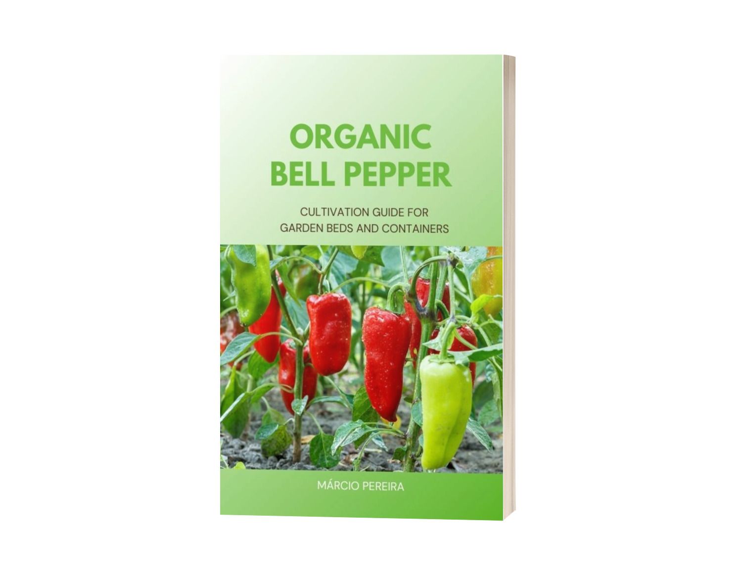 Organic Bell Pepper