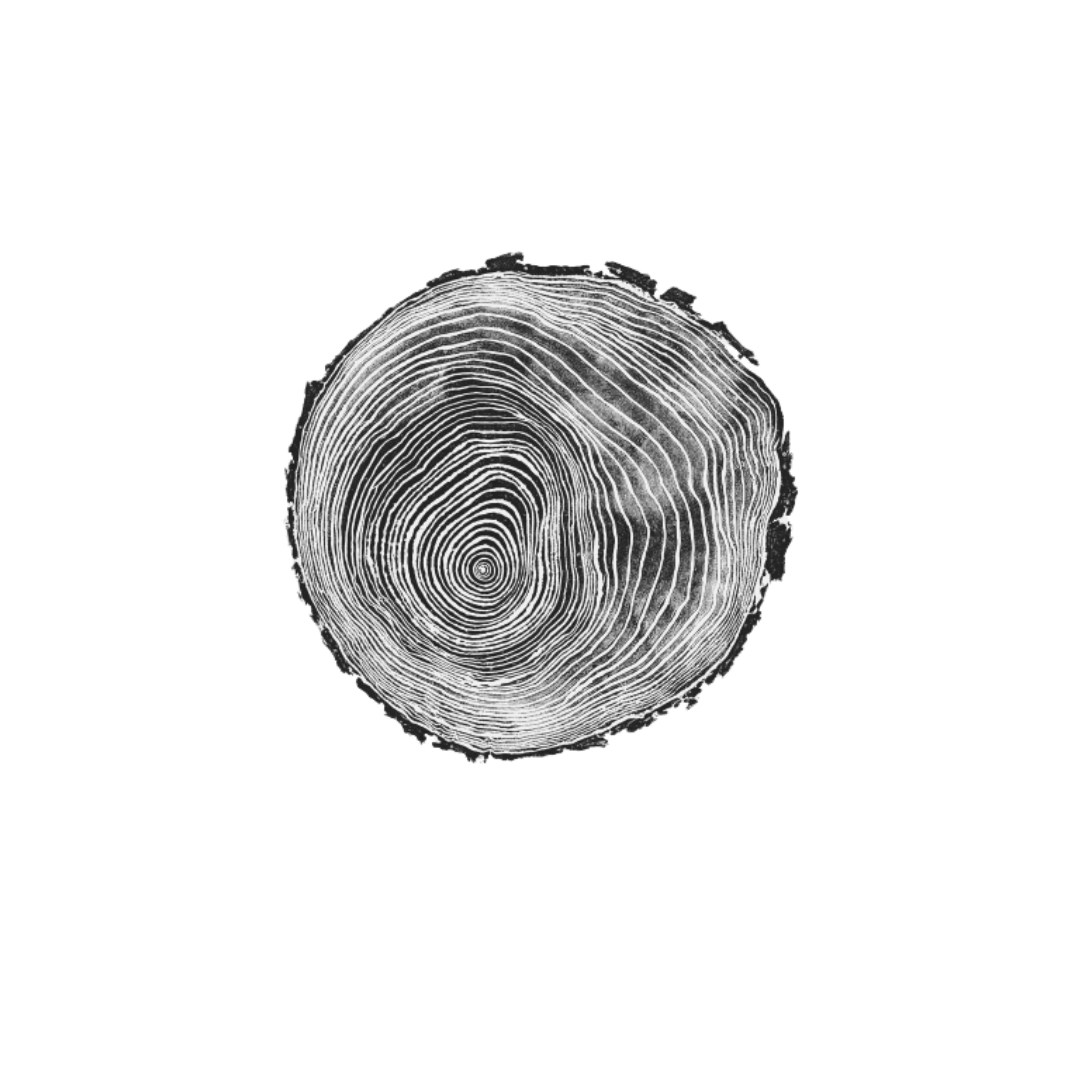 Digital Art For Printing