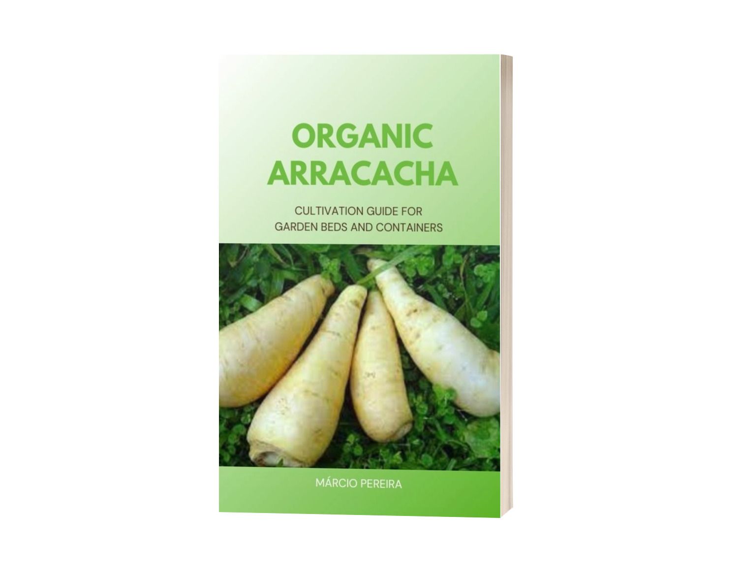 Organic Arracacha