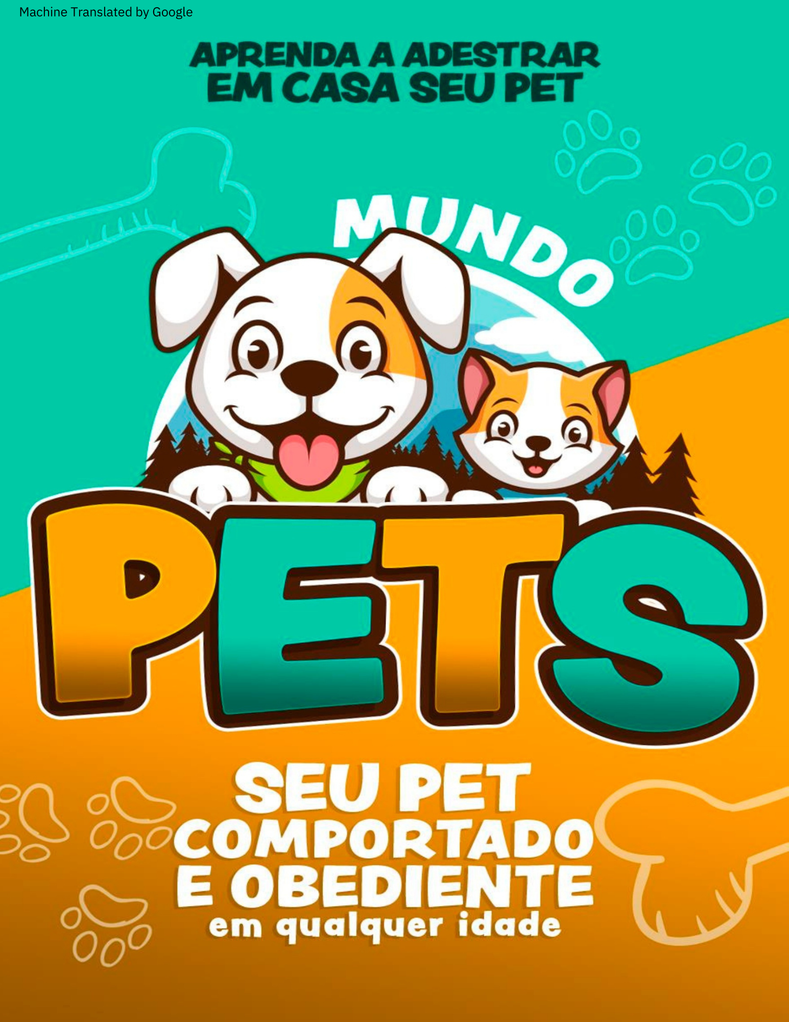 Your Pet Behaved And Obedient At Any Age