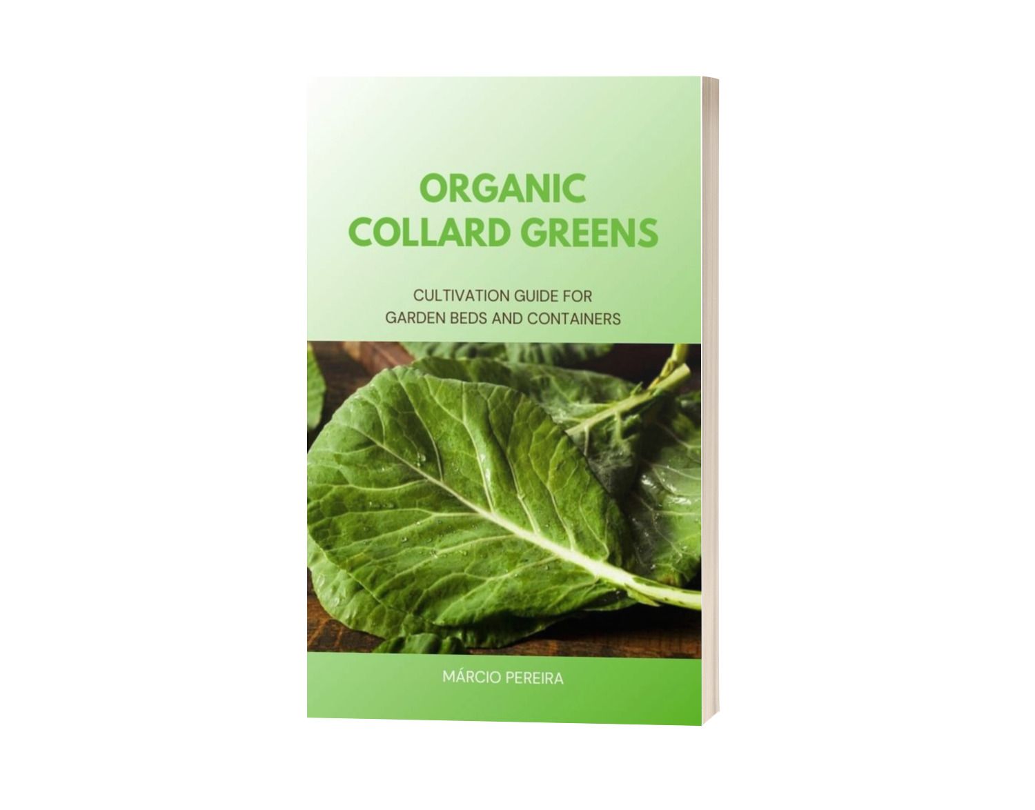 Organic Collard Greens