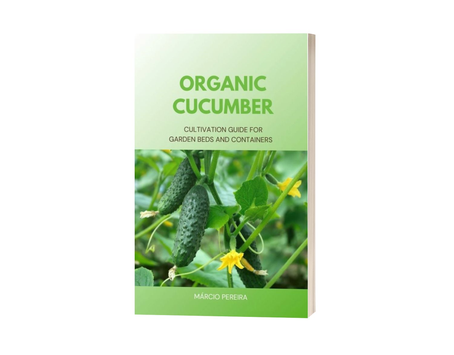 Organic Cucumber