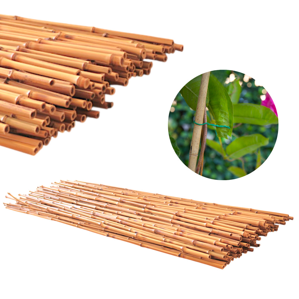 Tutor Estaca De Bambu Para Planta 95cm 20pçs Ponta Grossa