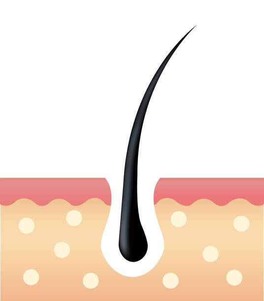 30 Video reels for Trichologists