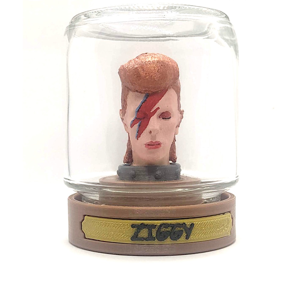 David Bowie - Ziggy Stardust - Heads In A Jar