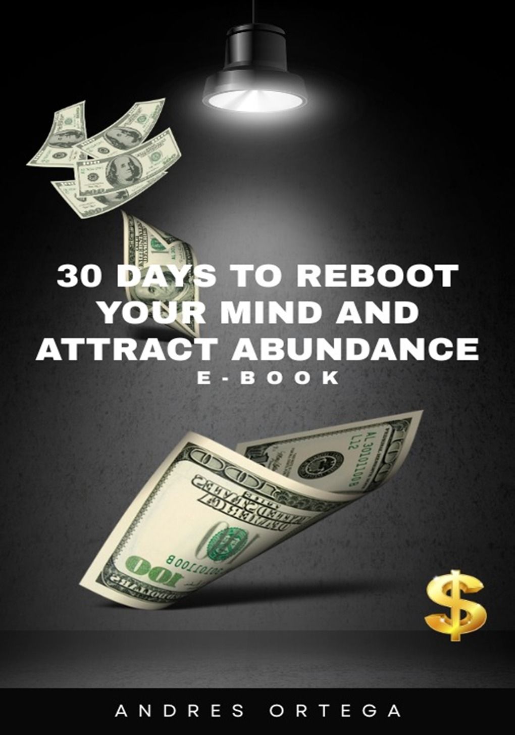 30 DAYS TO REBOOT YOUR MIND AND ATTRACT ABUNDANCE