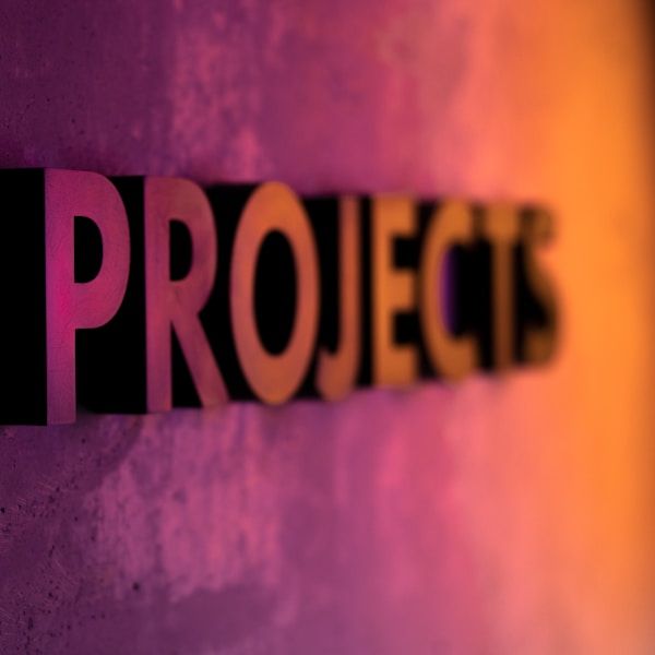 Project Management without the Pain