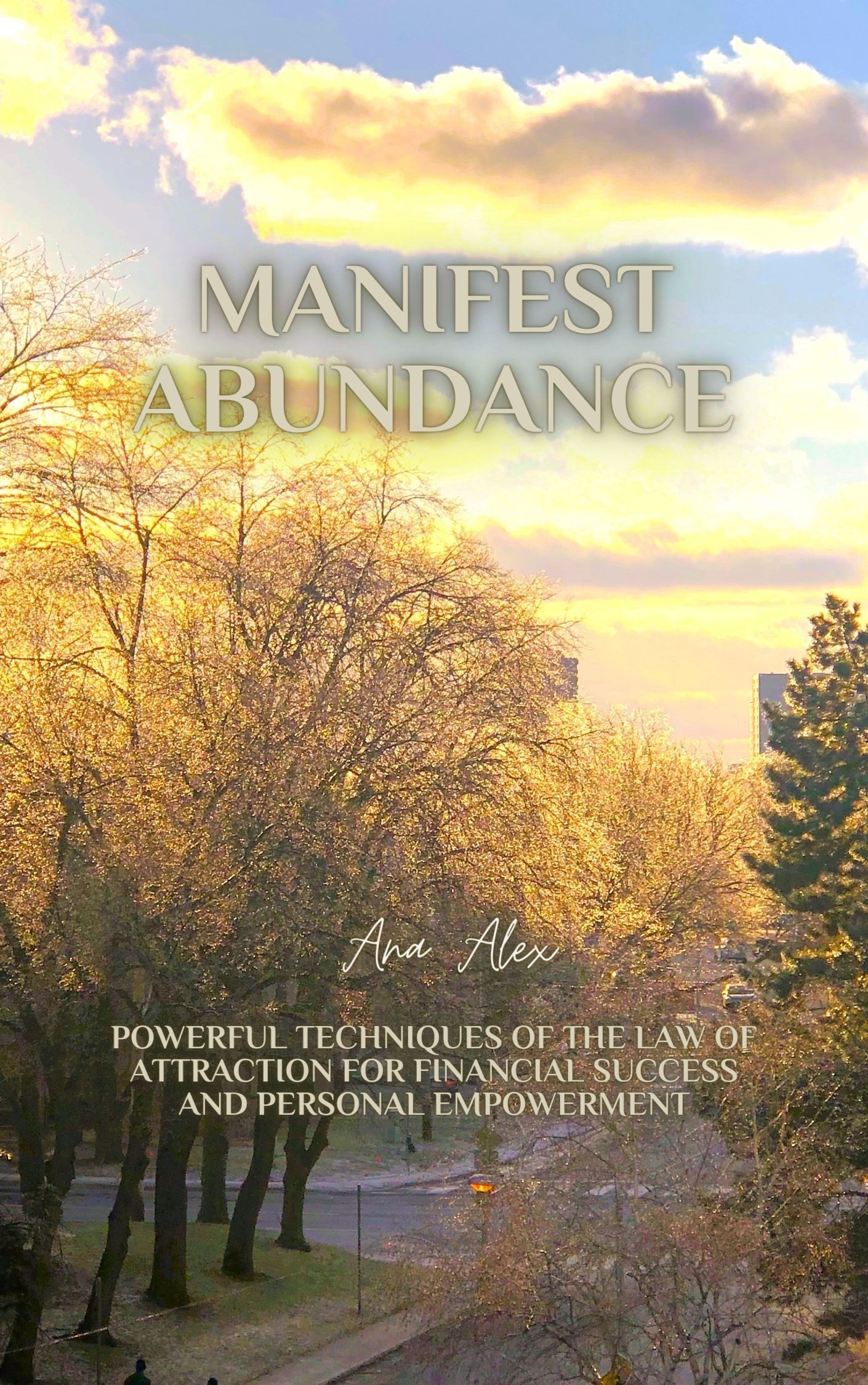 Manifest Abundance: Powerful Techniques of the Law of Attraction for Financial Sucess and Personal Empowerment