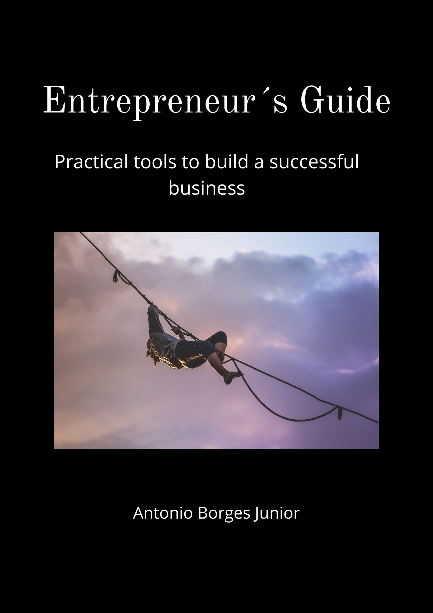Entrepreneur`s Guide