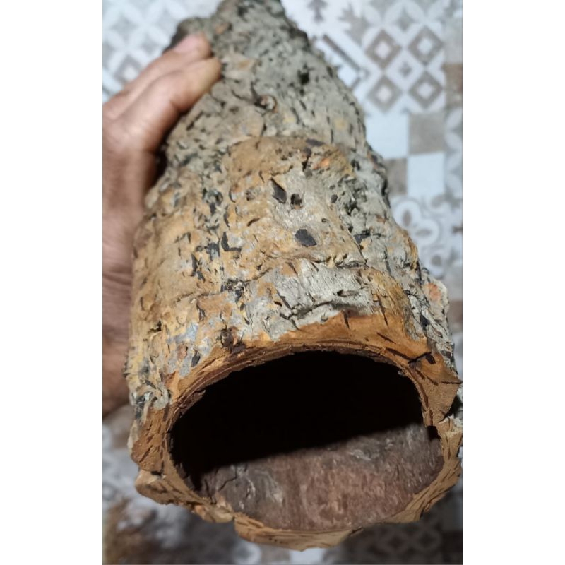 Túnel Natural cork bark Extra Grande 37cmx9livre| Madeira Rústica Higienizada p/ Roedores e Terrários decoração orquídea