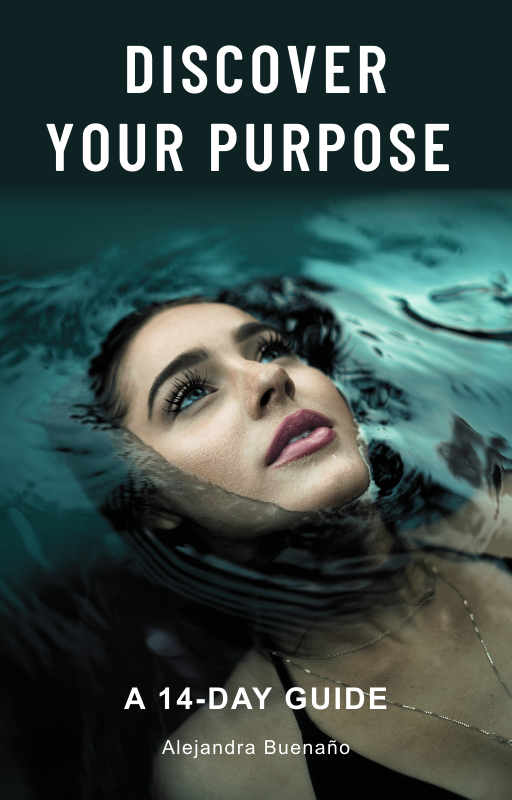 Purpose Reset: Discover What You’re Meant to Do in 14 Days