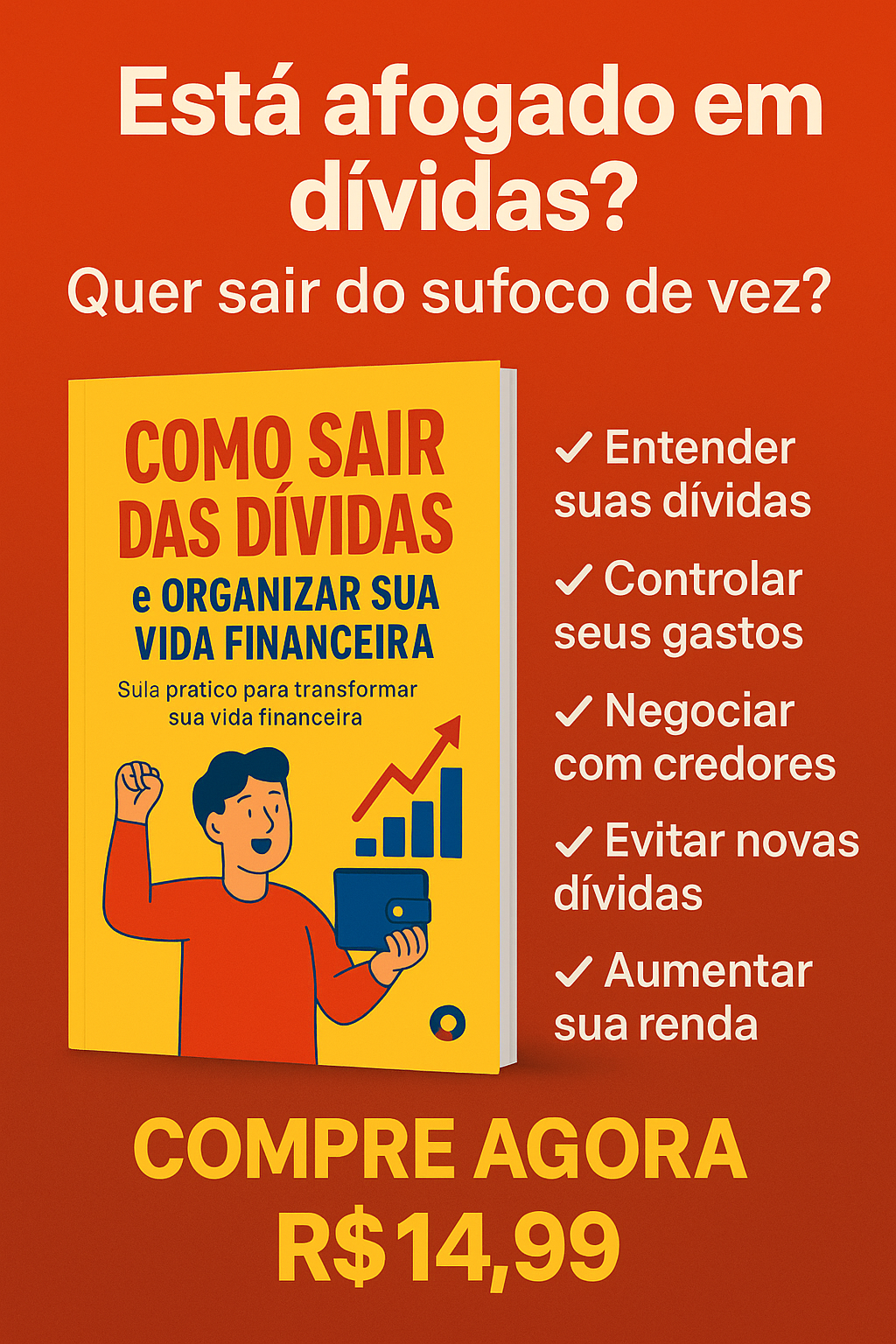Como Sair das Dívidas e Organizar Sua Vida Financeira
