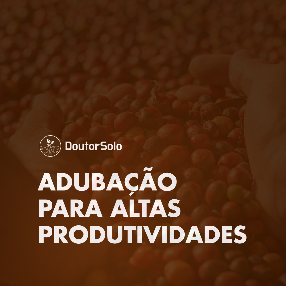 Adubação para Altas Produtividades: Café