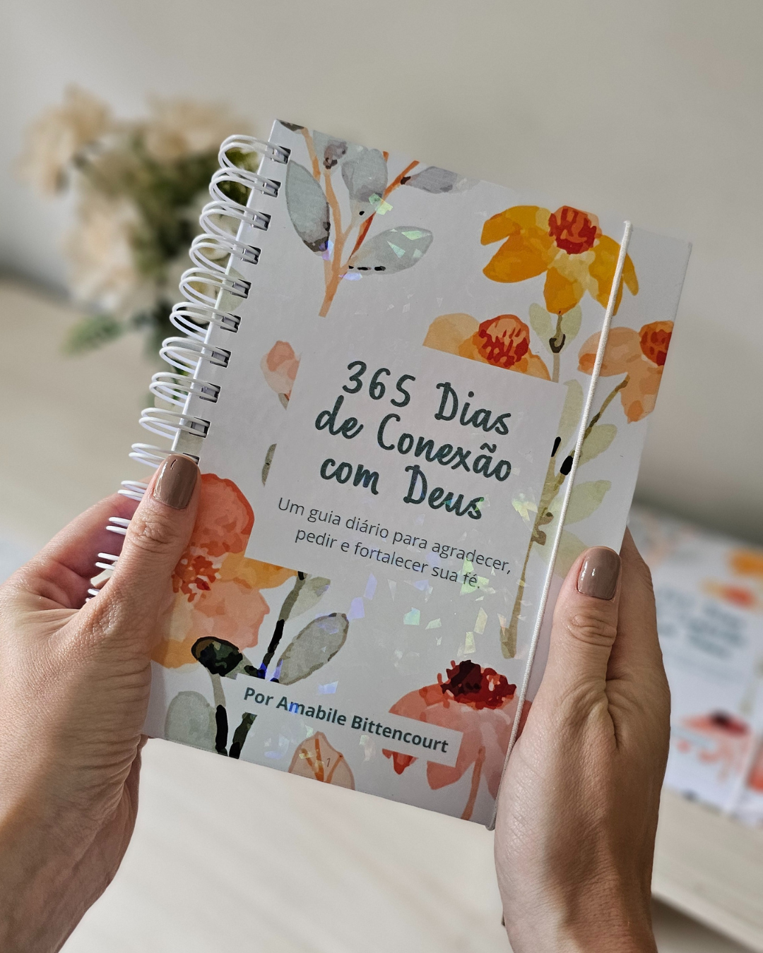 (físico) 365 dias de conexão com Deus