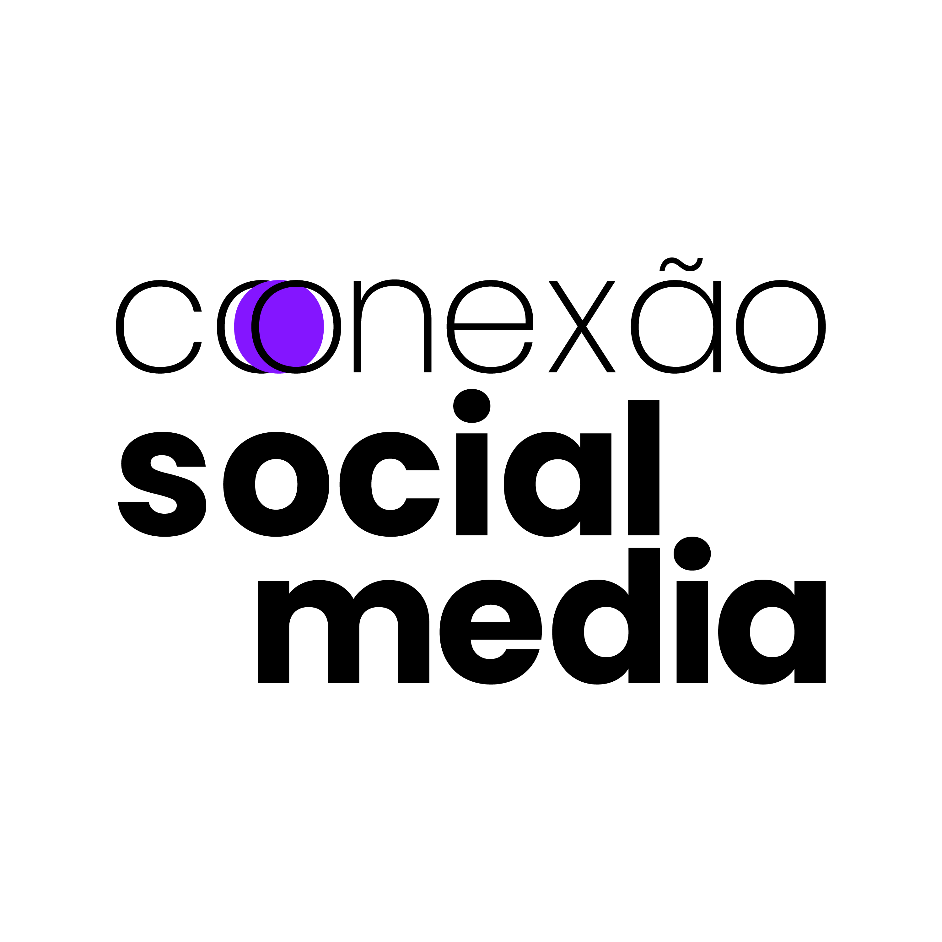 Conexão Social Media 2025
