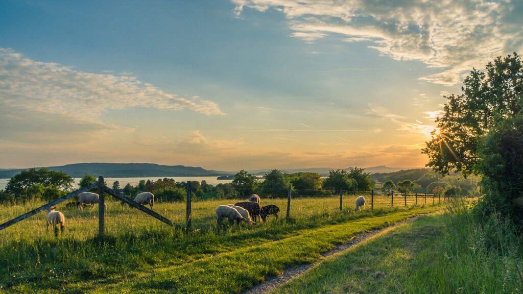 Curso Prático de ITR e CCIR