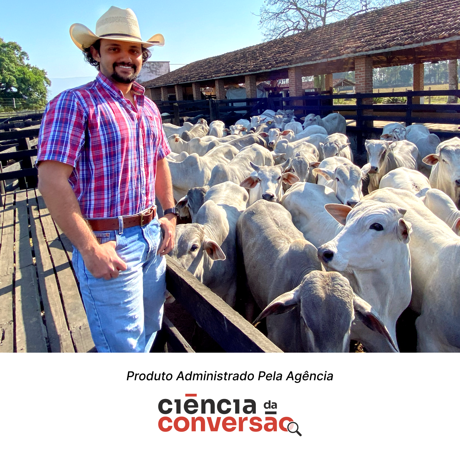 Treinamento Recria Intensiva 2.0 [T.R.I 2.0]