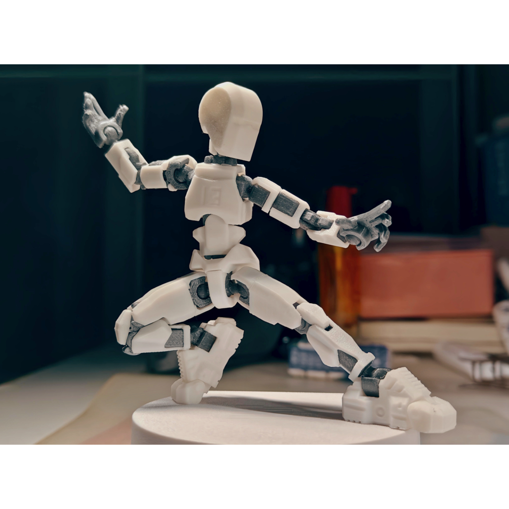 Boneco Dummy 13 Articulado Versão Mais Humano Varias Poses Brinquedo Decoração Entregue Montado - Impressão 3D