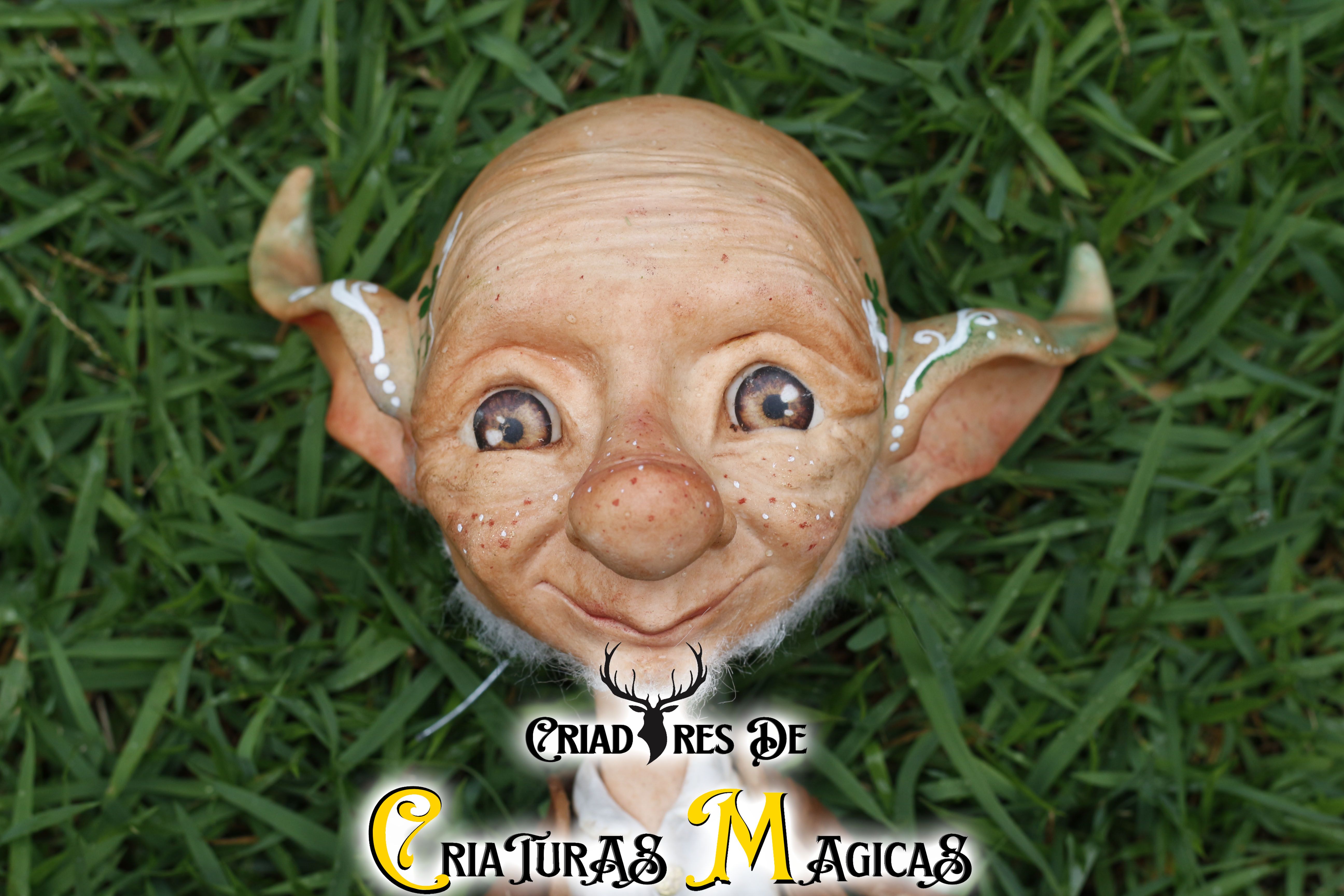 Criadores de Criaturas Magicas