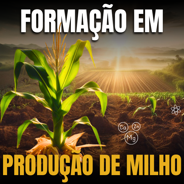 Formação em Produção de Milho