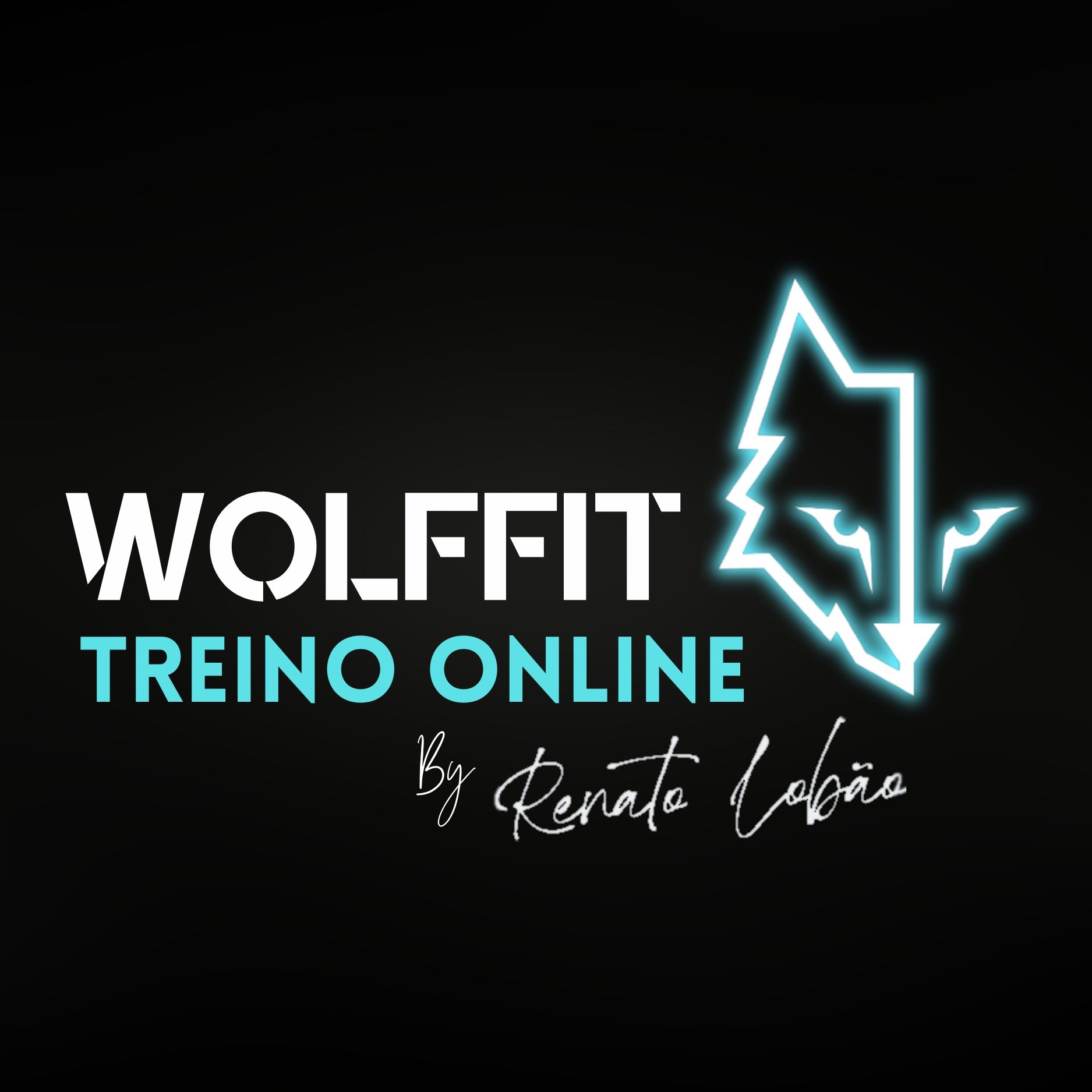 Wolffit Treino Online