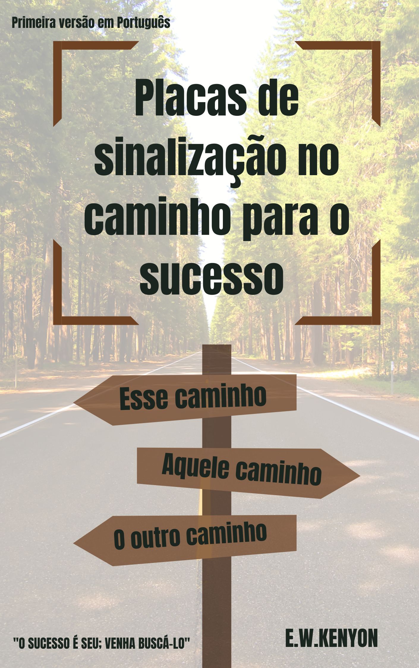 Placas de sinalização no caminho para o sucesso