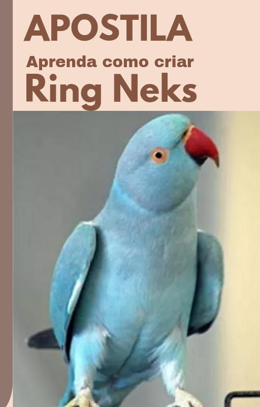 APOSTILA APRENDA TUDO SOBRE A CRIAÇÃO DE RING NEKS