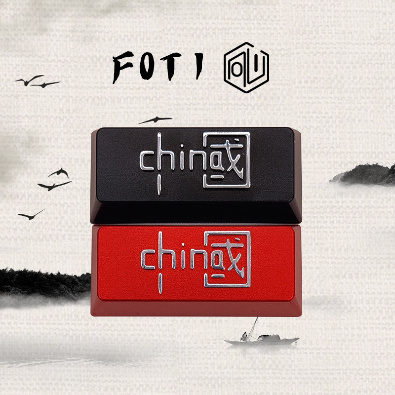 F0T1 