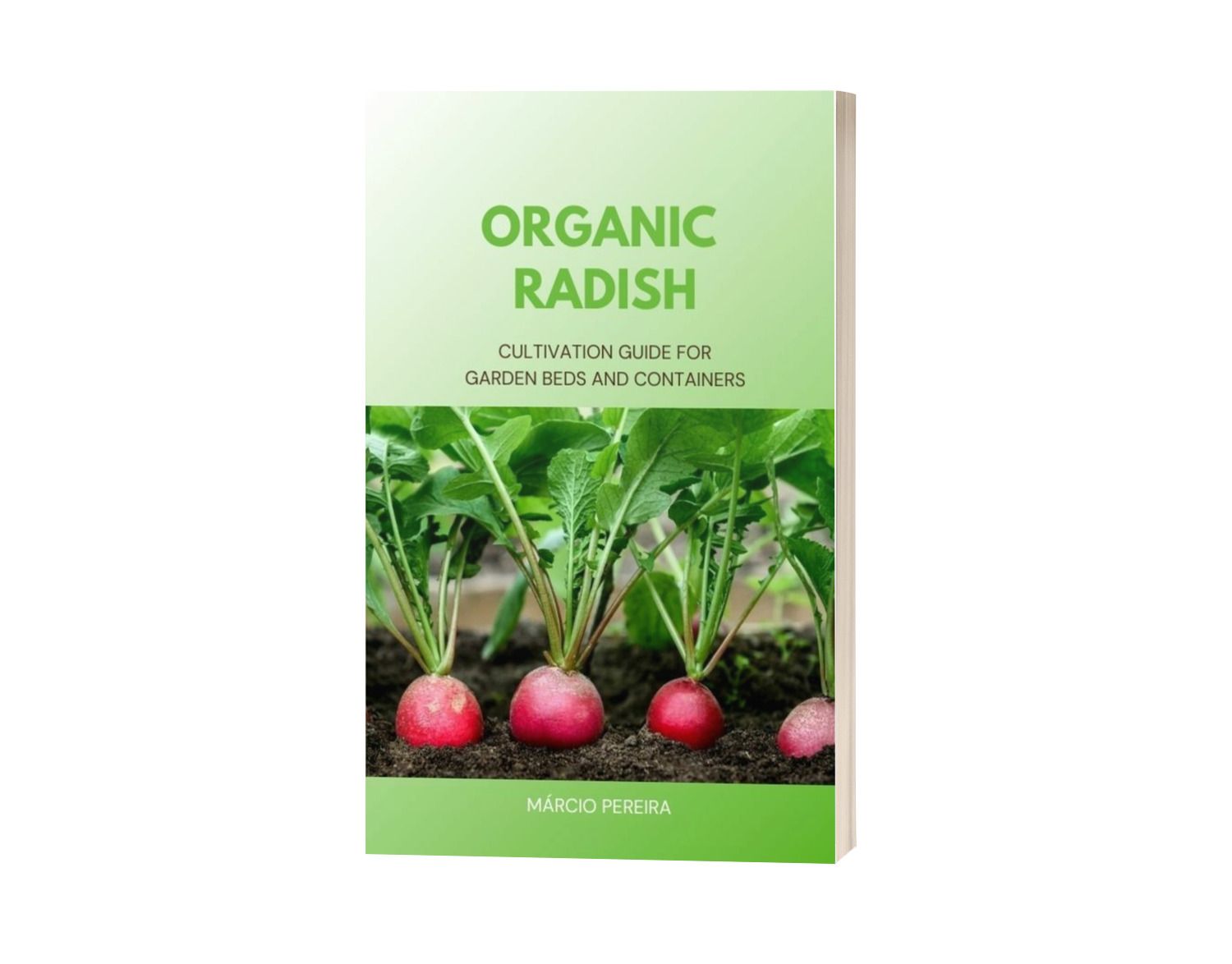 Organic Radish
