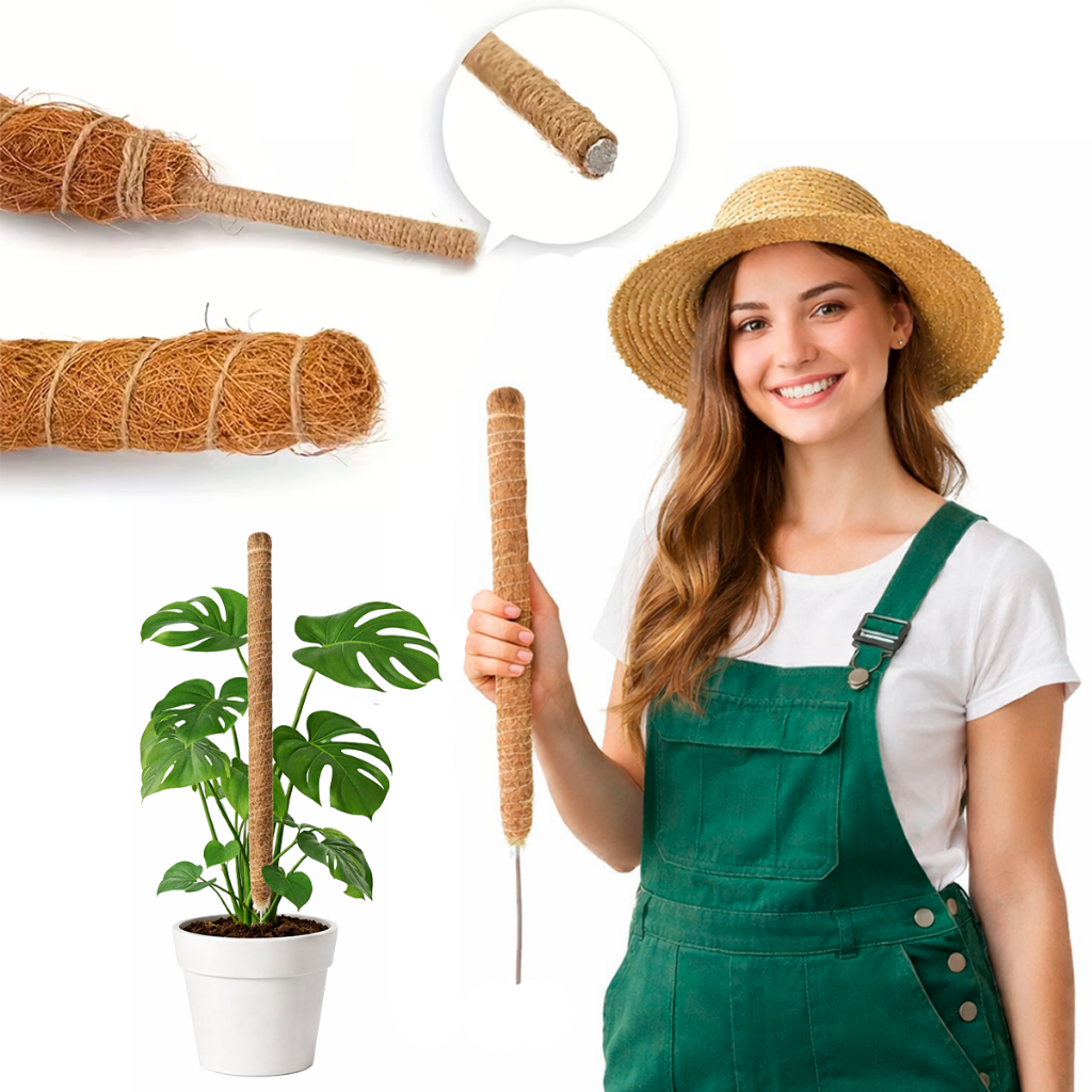 Tutor Fibra de Coco 60cm maleável para Plantas Trepadeiras Suporte Jiboia Orquídeas Mini Tomate e P