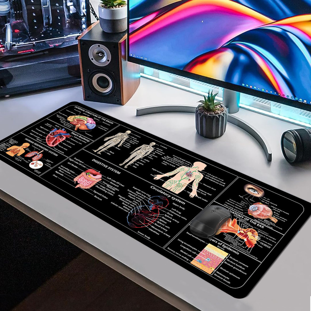 Mousepad Anatomia Humana Medicina Estudante Enfermagem Tapete Mesa XXL Antiderrapante 80x30cm