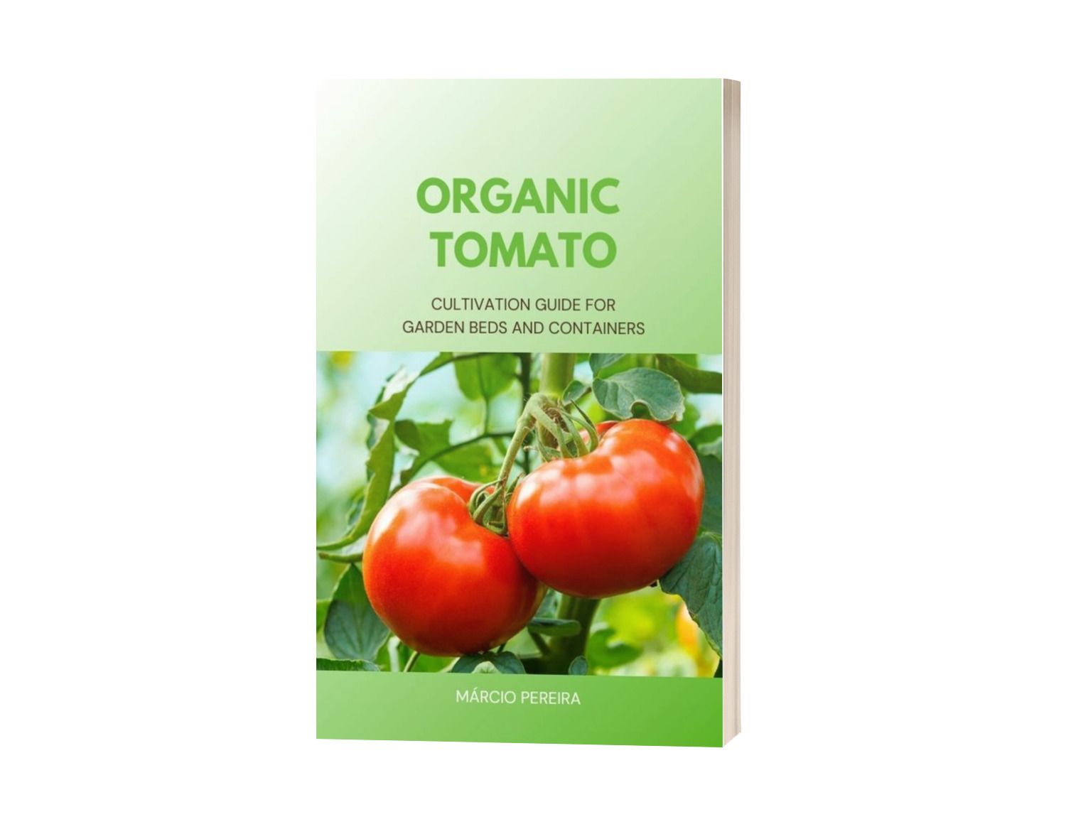 Organic Tomato