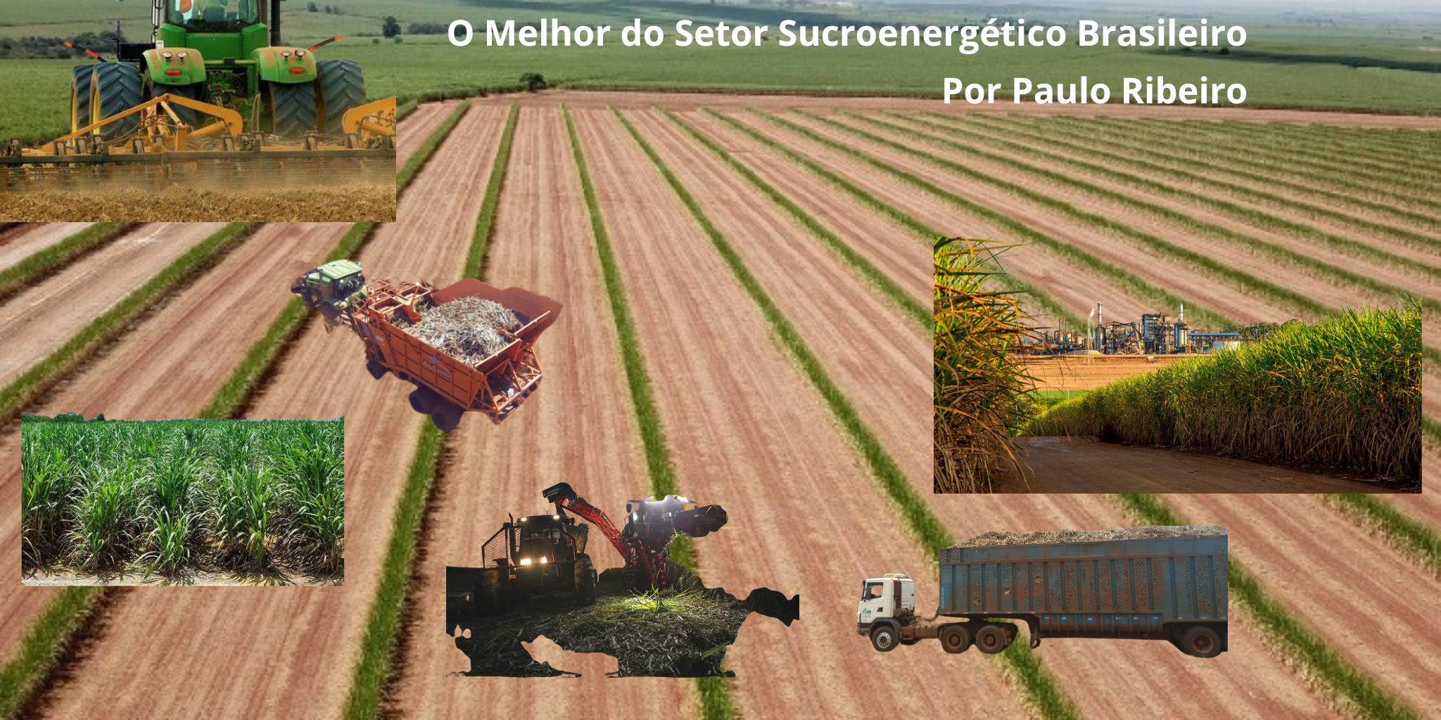 The Best of the Brazilian Sugar-Energy Sector