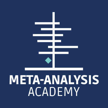 IX Meta-Analysis Academy