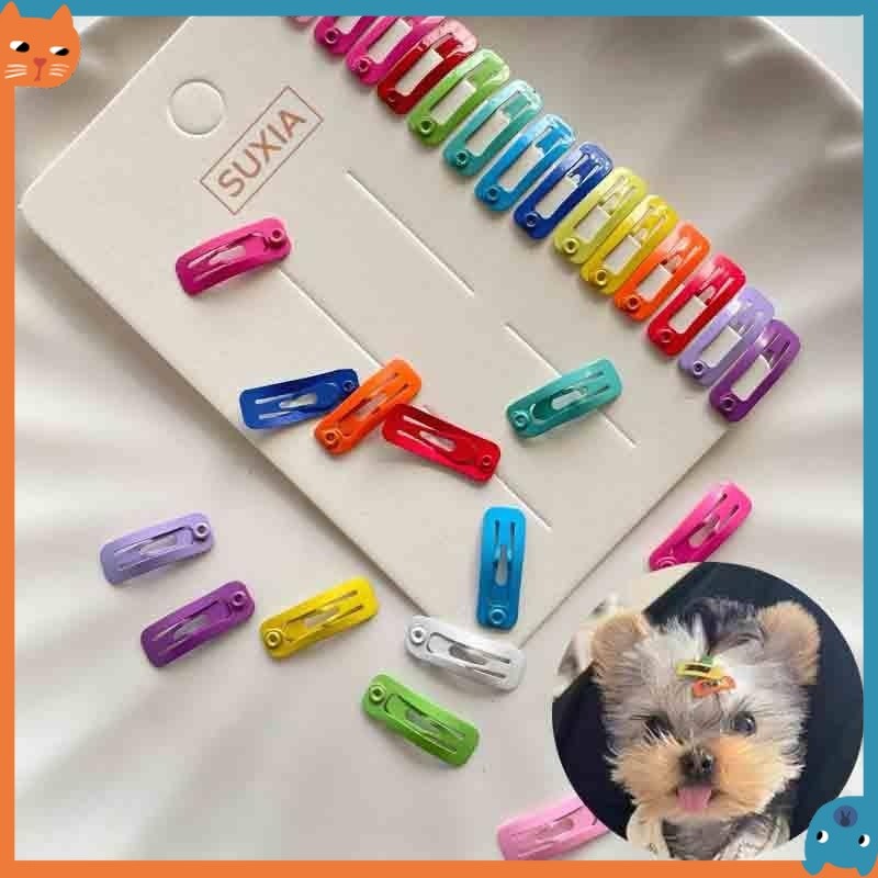 2cm Pet Hairpin Grampos De Cabelo Pintura Colorida Mini Quadrado BB Clipe Quebrado Ferramenta Remoção Do