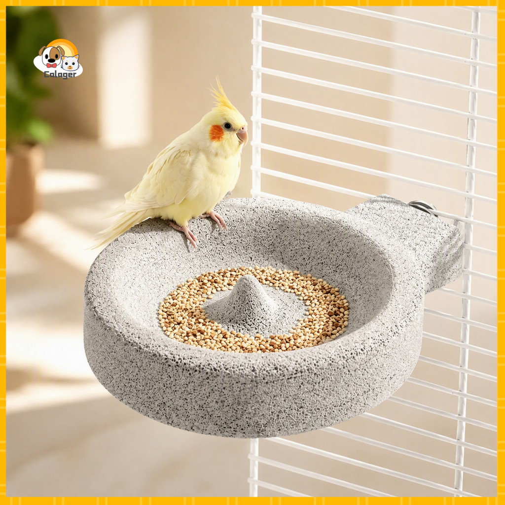 Natural Pumice Bird Food Bowl Small Feeding Dish 2-in-1 Water with Screw Mount – Stone Feeder for Parakeets Finches Ca