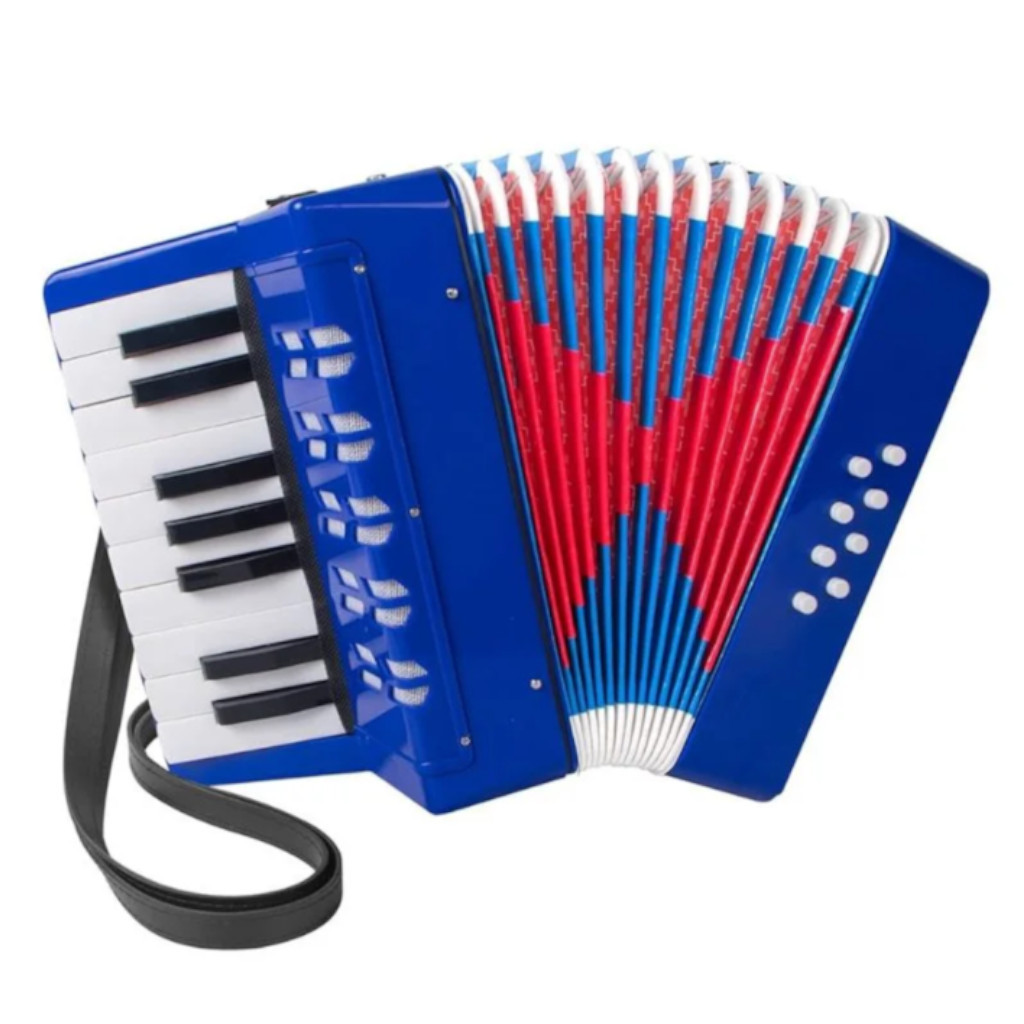 Acordeon Infantil Custom Kids 17 Teclas 8 Baixos Azul