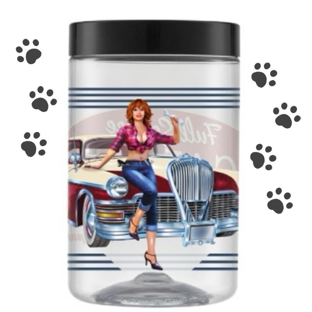 Pote Pet Power Garage 1.5L com Tampa Rosqueável - Ração e Petiscos