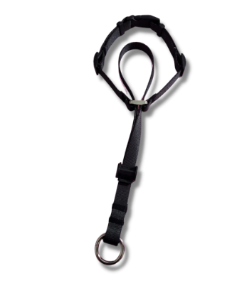 Coleira Cabresto Preta