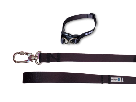 Guia 1,70 + Coleira de Pescoço Preta