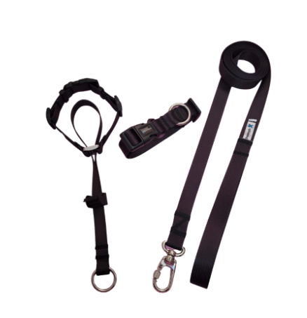Kit Premium Coleira Cabresto Preta