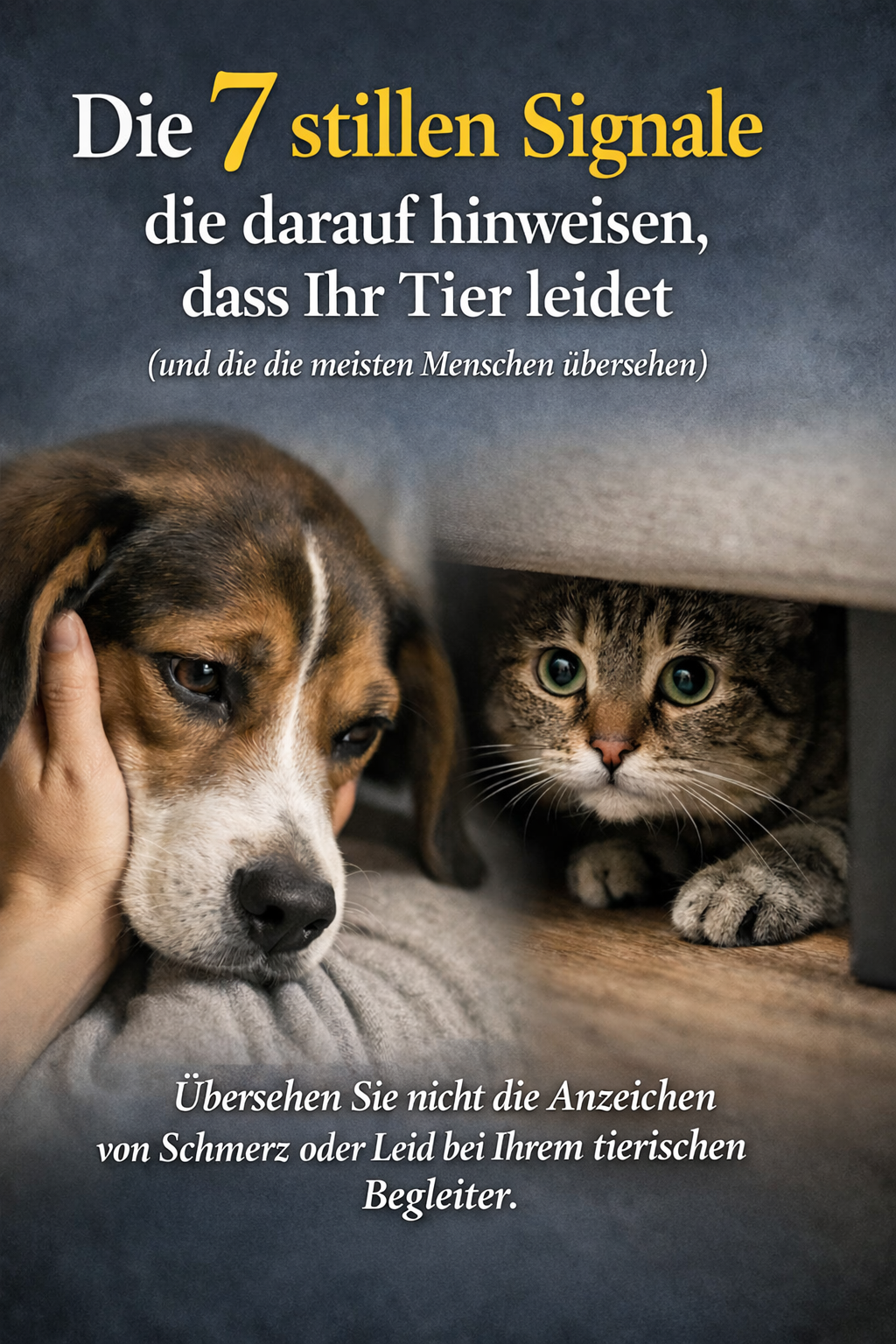 Die 7 stillen Signale, dass Ihr Tier leidet (und die die meisten Menschen übersehen)