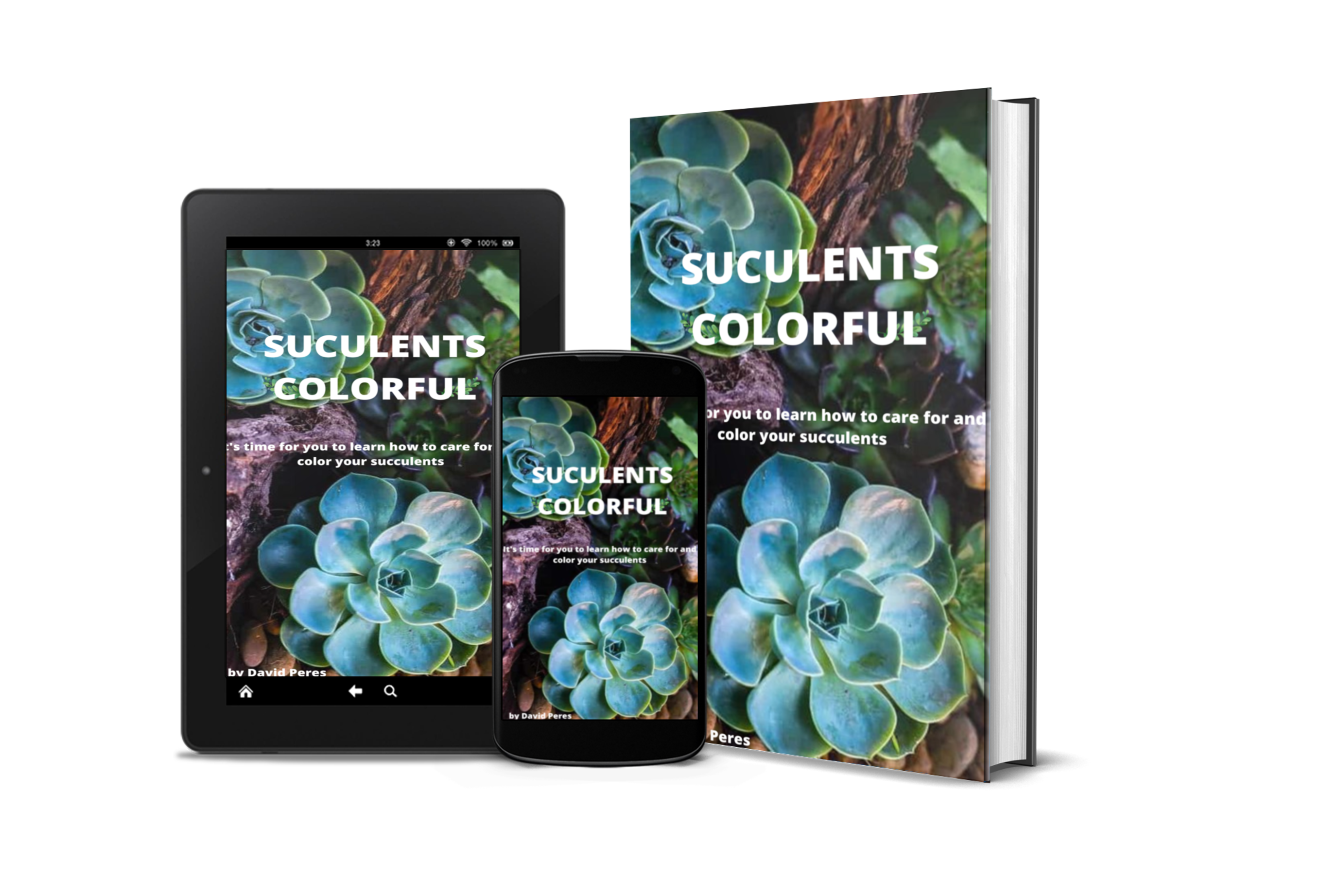 suculentas coloridas Inglês